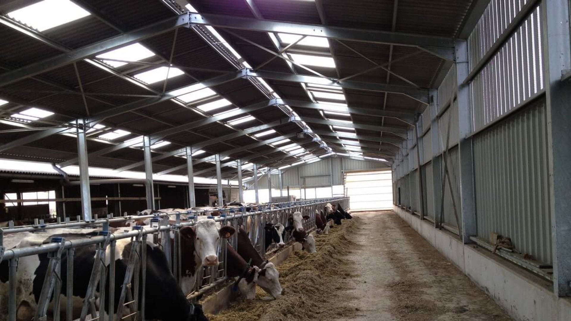 Farm building light panels sydney Farm building light panels sydney