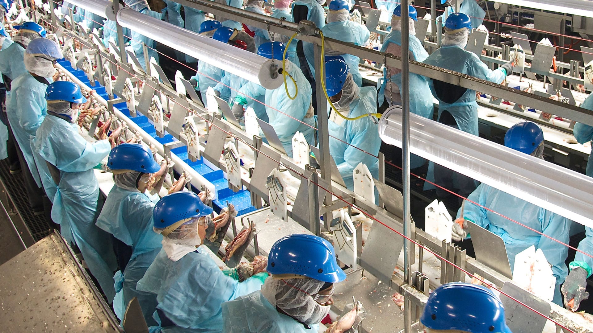 processing plant factory industrial clear roof panels